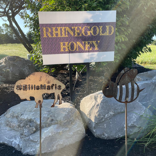 The Bees and The Bills