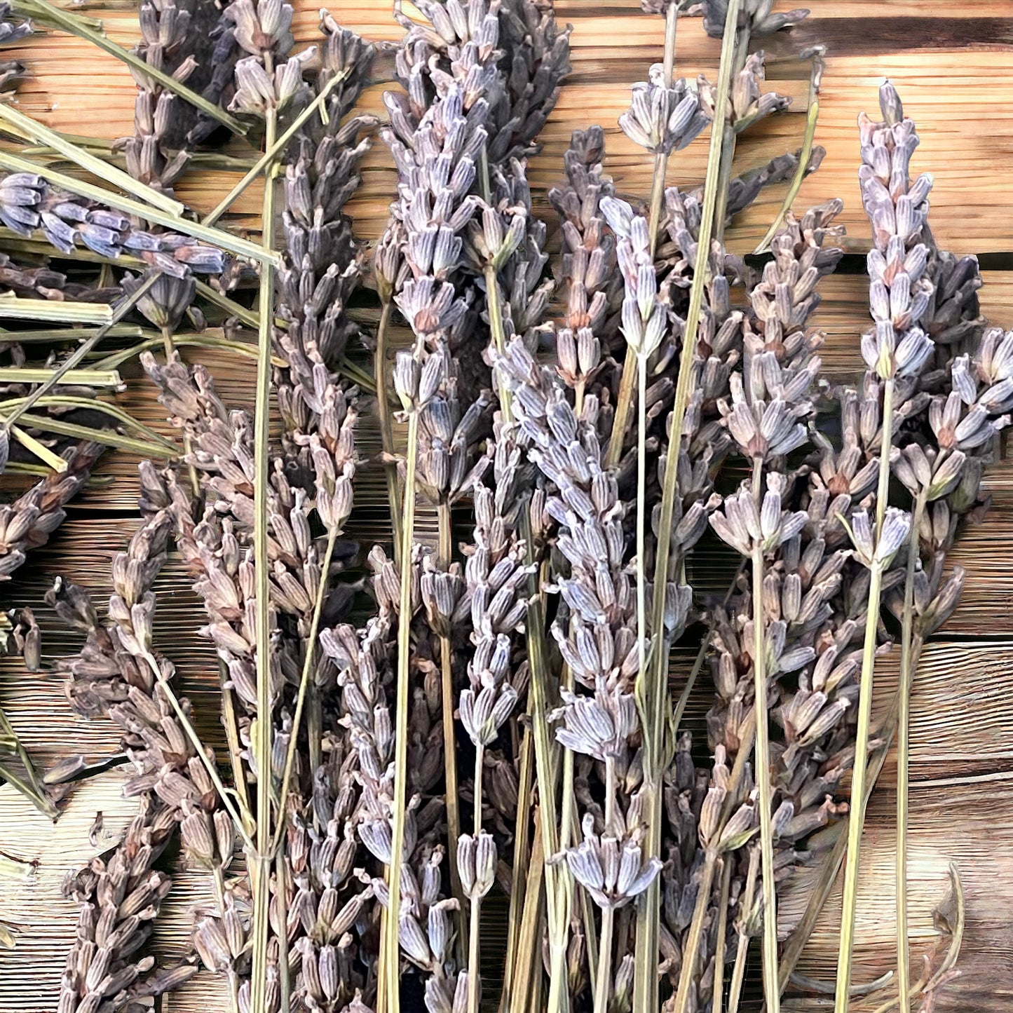 Rhinegold Lavender Sachets